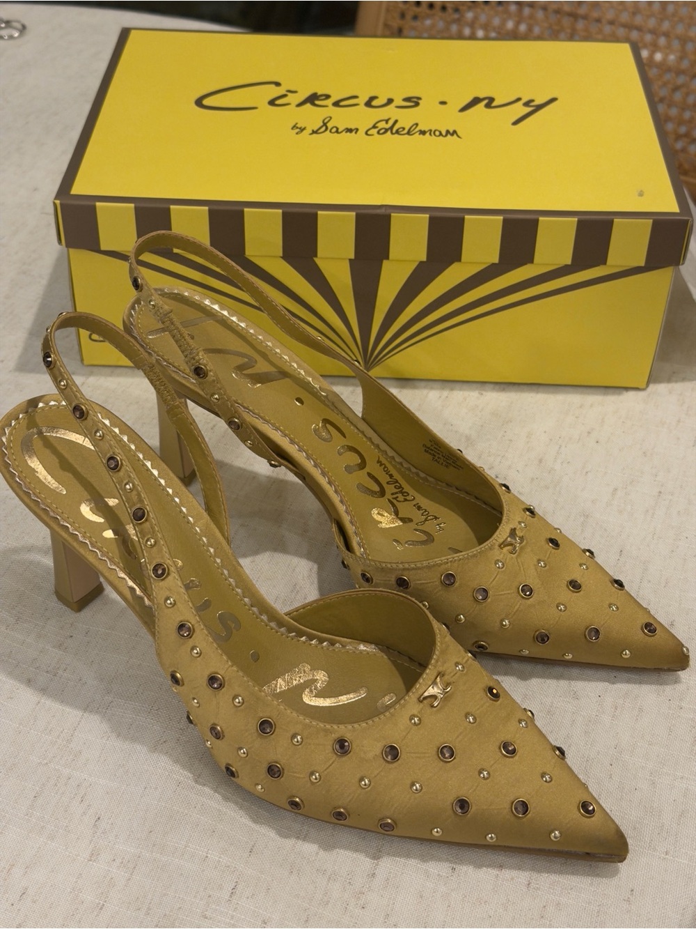 Circus NY by Sam Edelman Tallie Pointed Toe Slingback Pump